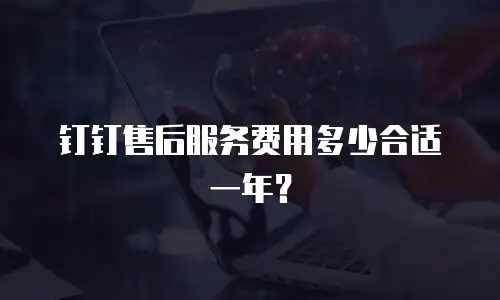 钉钉售后服务费用多少合适一年？