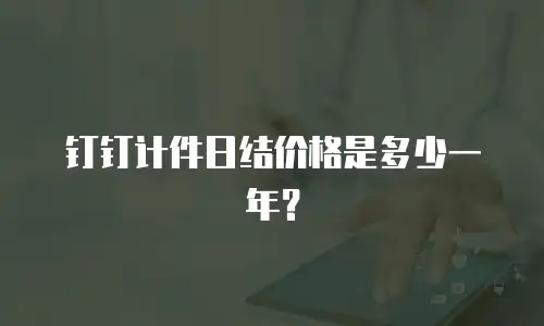 钉钉计件日结价格是多少一年？