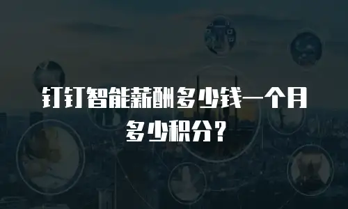 钉钉智能薪酬多少钱一个月多少积分？