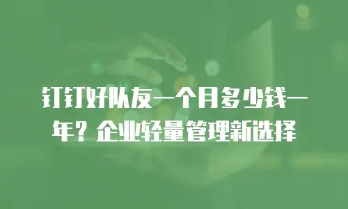 钉钉好队友一个月多少钱一年？企业轻量管理新选择