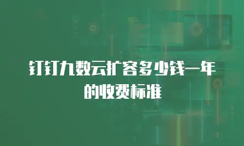 钉钉九数云扩容多少钱一年的收费标准