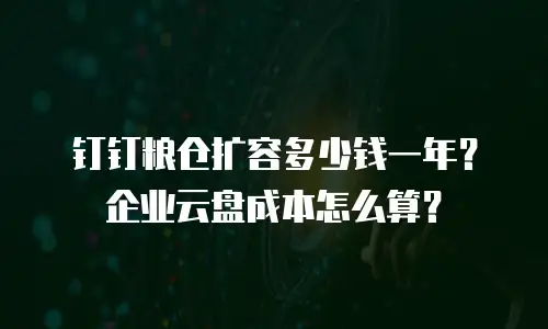 钉钉粮仓扩容多少钱一年？企业云盘成本怎么算？