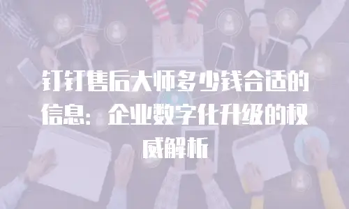 钉钉售后大师多少钱合适的信息：企业数字化升级的权威解析