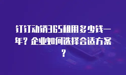 钉钉动销365租用多少钱一年？企业如何选择合适方案？