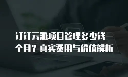 钉钉云派项目管理多少钱一个月？真实费用与价值解析