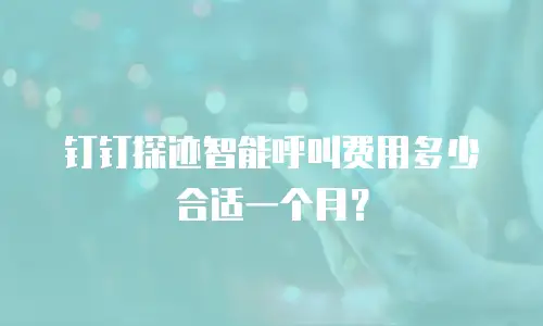 钉钉探迹智能呼叫费用多少合适一个月？