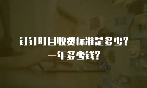 钉钉盯目收费标准是多少？一年多少钱？
