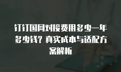 钉钉国网对接费用多少一年多少钱？真实成本与适配方案解析