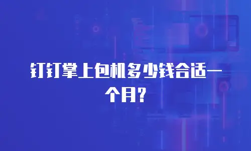 钉钉掌上包机多少钱合适一个月？