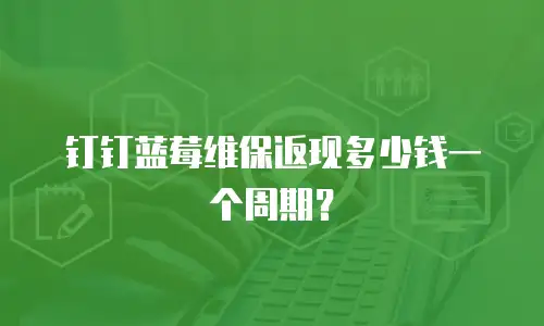 钉钉蓝莓维保返现多少钱一个周期？