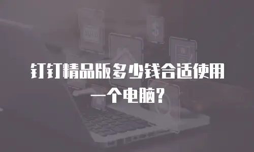 钉钉精品版多少钱合适使用一个电脑？