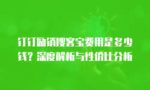 钉钉励销搜客宝费用是多少钱？深度解析与性价比分析