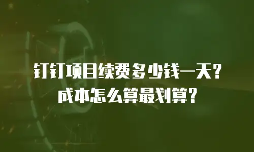 钉钉项目续费多少钱一天？成本怎么算最划算？