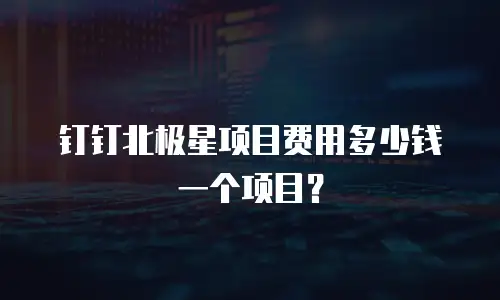 钉钉北极星项目费用多少钱一个项目？
