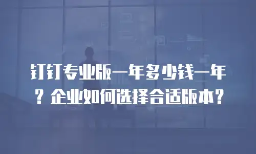 钉钉专业版一年多少钱一年？企业如何选择合适版本？