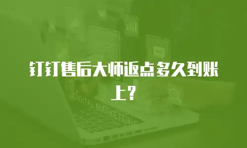 钉钉售后大师返点多久到账上？