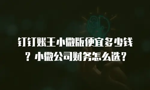 钉钉账王小微版便宜多少钱？小微公司财务怎么选？