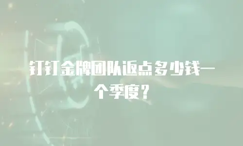 钉钉金牌团队返点多少钱一个季度？