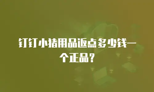 钉钉小猪用品返点多少钱一个正品？