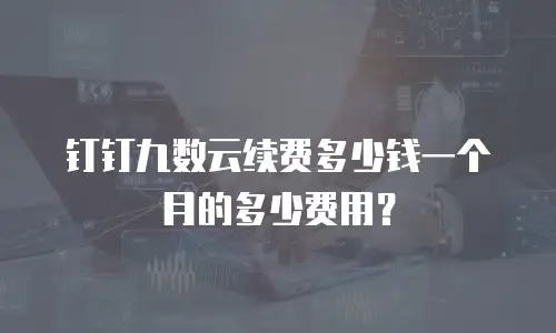 钉钉九数云续费多少钱一个月的多少费用？