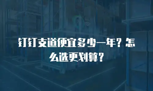 钉钉支道便宜多少一年？怎么选更划算？