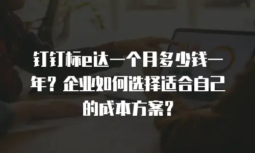 钉钉标e达一个月多少钱一年？企业如何选择适合自己的成本方案？