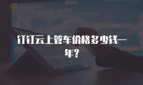 钉钉云上管车价格多少钱一年？