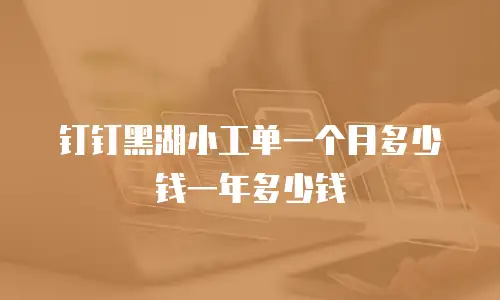 钉钉黑湖小工单一个月多少钱一年多少钱