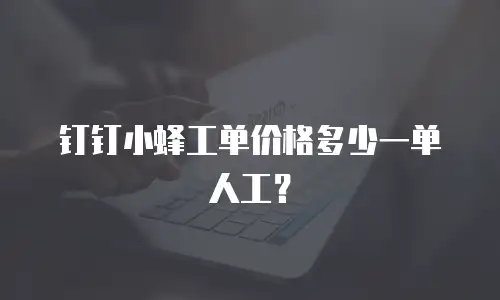 钉钉小蜂工单价格多少一单人工？