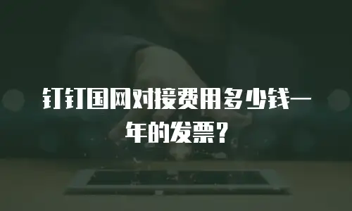 钉钉国网对接费用多少钱一年的发票？