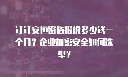 钉钉安恒密盾报价多少钱一个月？企业加密安全如何选型？