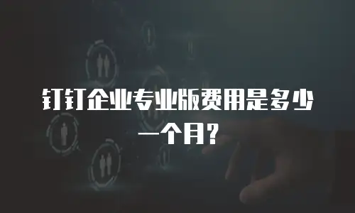 钉钉企业专业版费用是多少一个月？