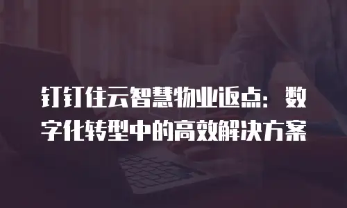钉钉住云智慧物业返点：数字化转型中的高效解决方案