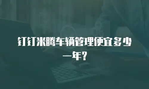 钉钉米腾车辆管理便宜多少一年？