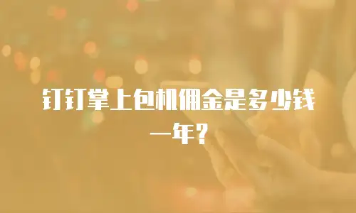 钉钉掌上包机佣金是多少钱一年？