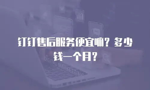 钉钉售后服务便宜嘛？多少钱一个月？