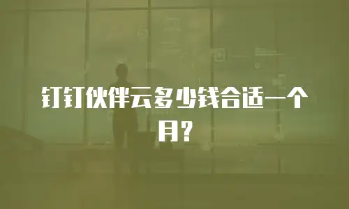 钉钉伙伴云多少钱合适一个月？