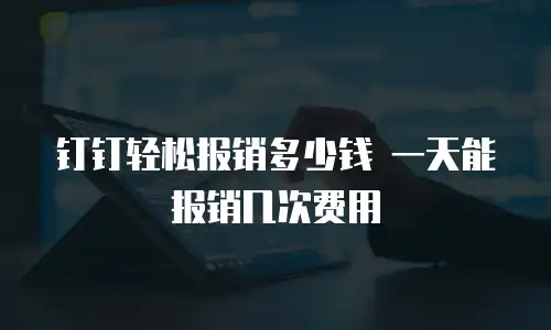 钉钉轻松报销多少钱 一天能报销几次费用