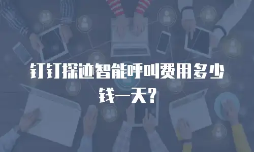 钉钉探迹智能呼叫费用多少钱一天？