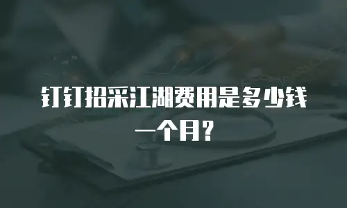 钉钉招采江湖费用是多少钱一个月？