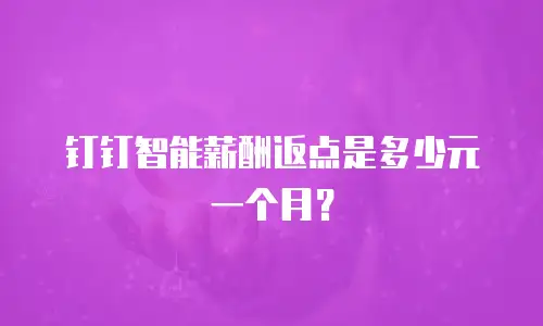 钉钉智能薪酬返点是多少元一个月？