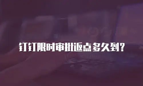 钉钉限时审批返点多久到？