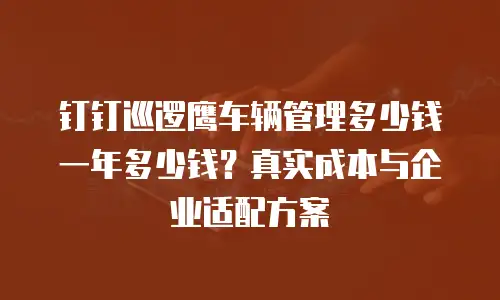 钉钉巡逻鹰车辆管理多少钱一年多少钱？真实成本与企业适配方案