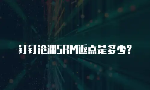 钉钉沧渊SRM返点是多少？