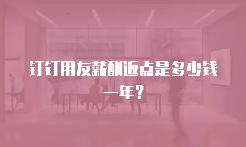 钉钉用友薪酬返点是多少钱一年？