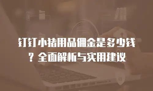 钉钉小猪用品佣金是多少钱？全面解析与实用建议