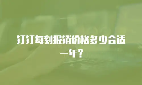 钉钉每刻报销价格多少合适一年？
