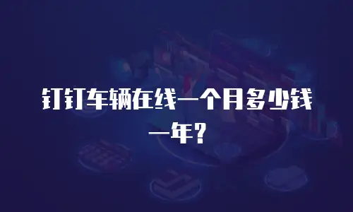 钉钉车辆在线一个月多少钱一年？