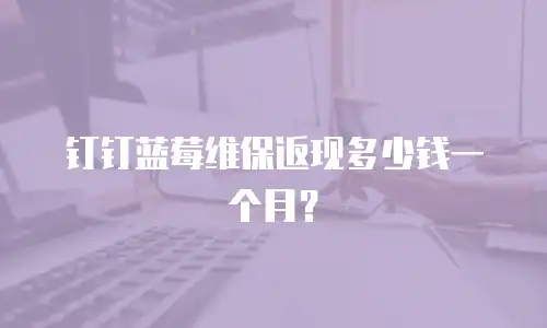 钉钉蓝莓维保返现多少钱一个月？