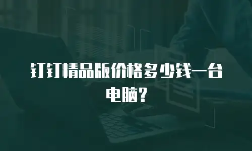 钉钉精品版价格多少钱一台电脑？